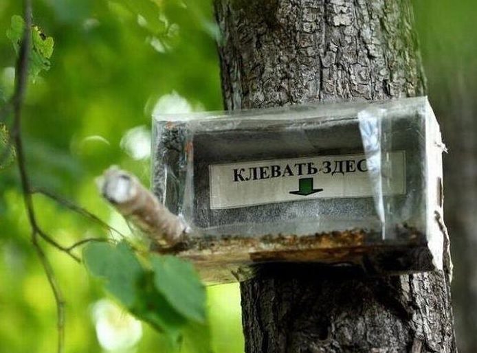Красивые шуточные картинки