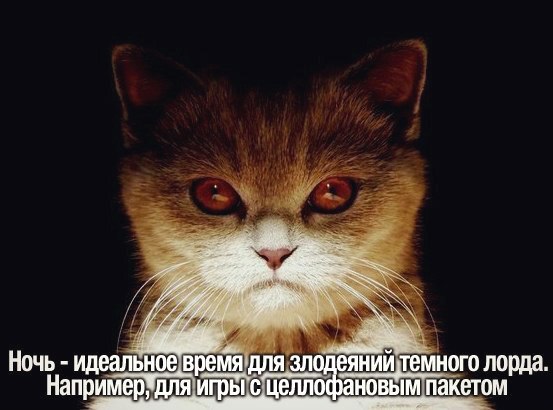 Красивые шуточные картинки