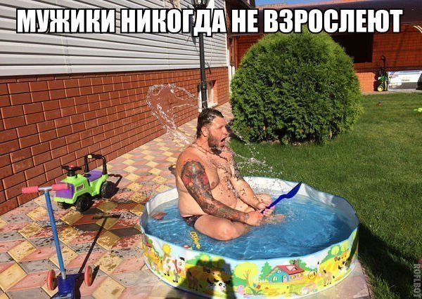 Бесплатные шуточные картинки