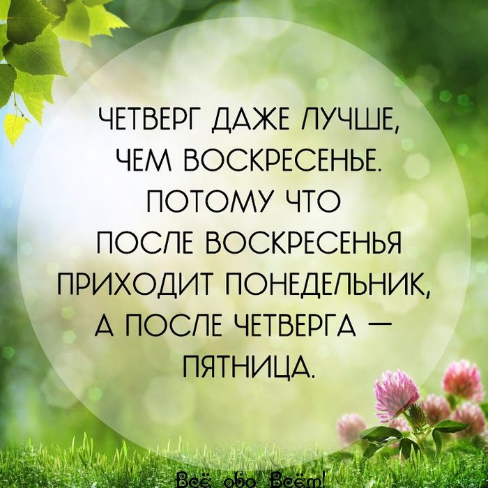 Шуточные смешные картинки