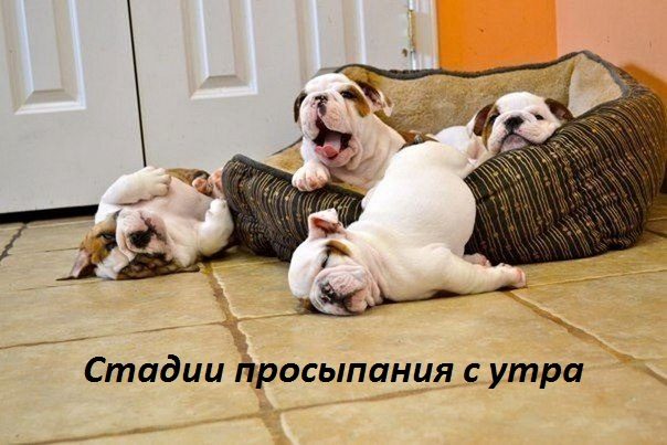 Прикольно шуточные картинки