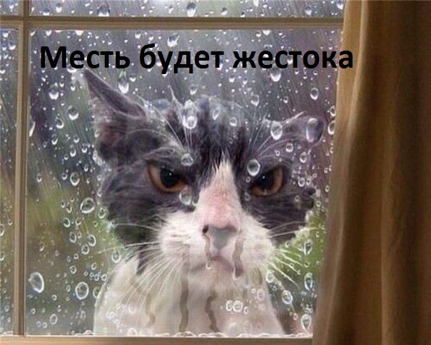 Шуточные смешные картинки
