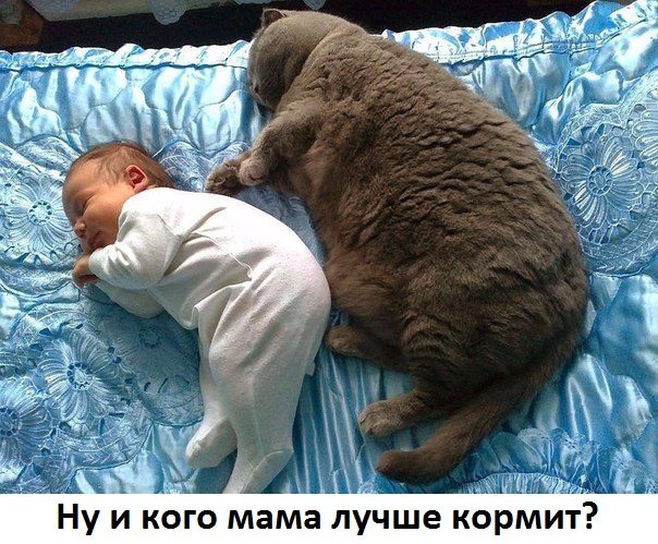 Прикольно шуточные картинки