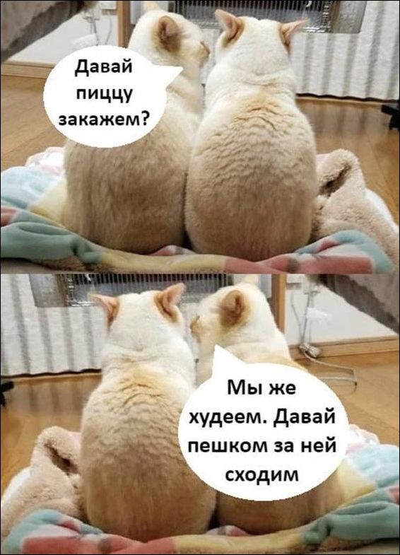 Шуточные картинки для взрослых