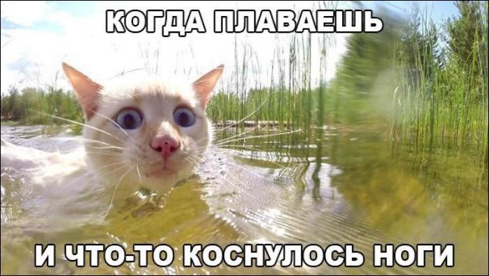 Шуточные картинки для взрослых