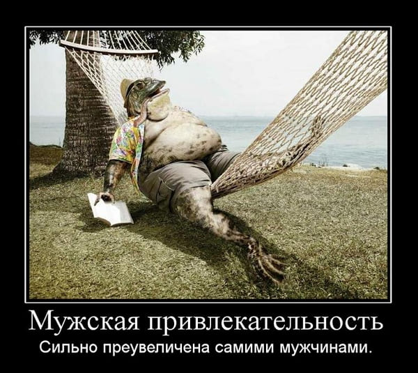 Шуточные картинки для мужчин