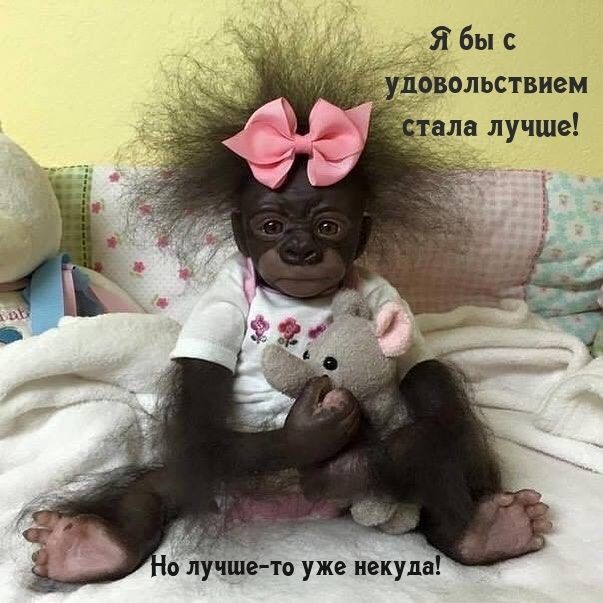 Бесплатные шуточные картинки