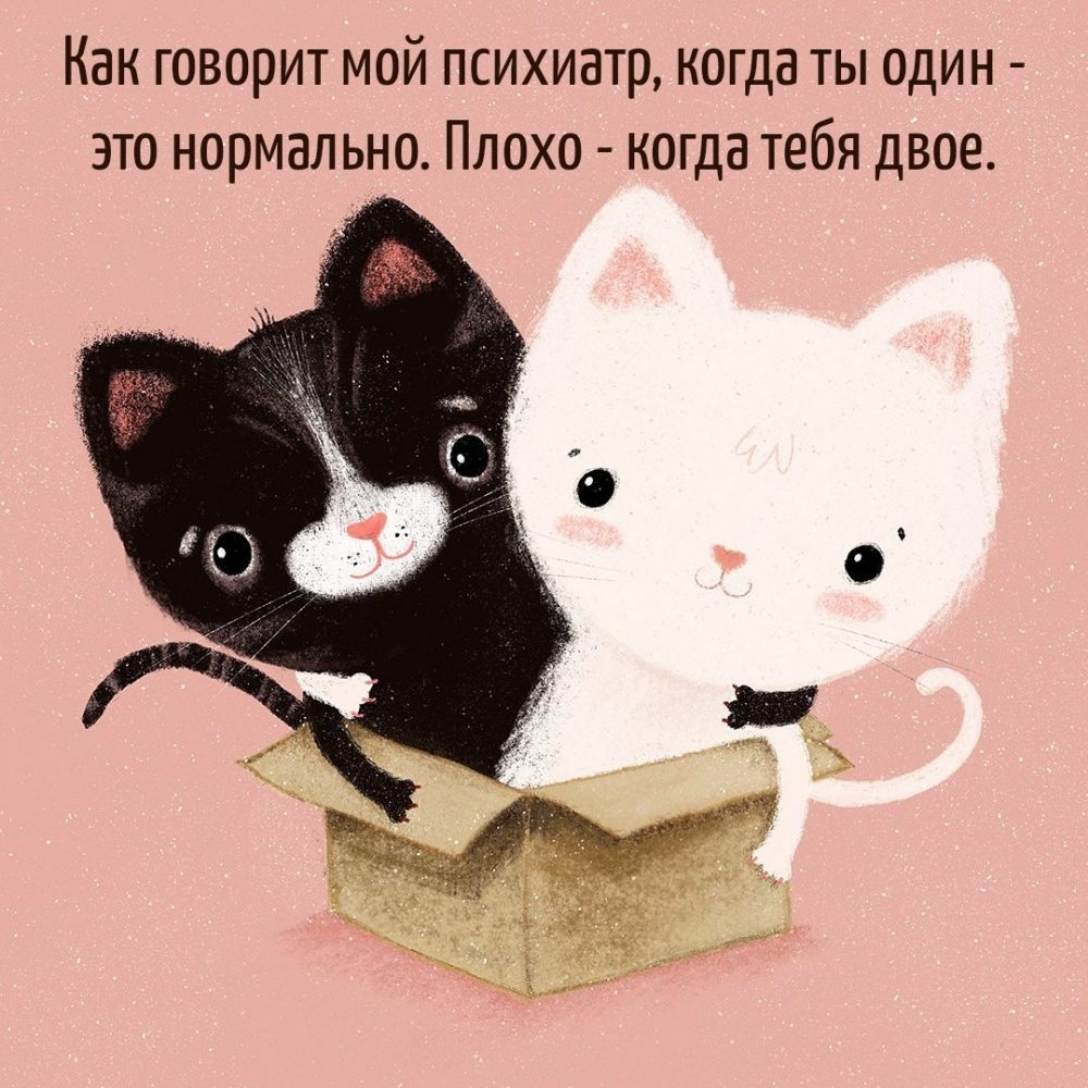 Бесплатные шуточные картинки