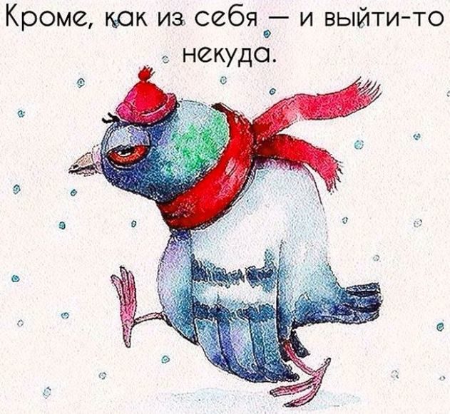 Красивые шуточные картинки