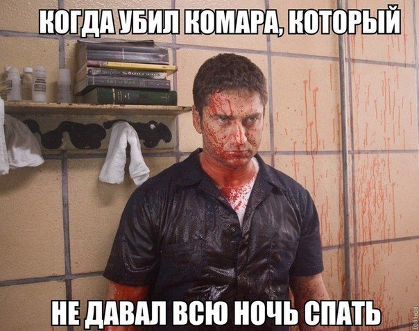 Картинки-приколы смешные до слез