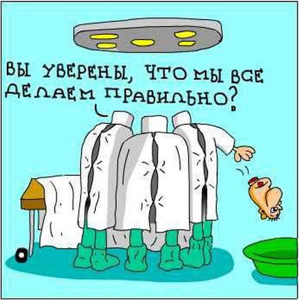 Бесплатные картинки-приколы очень юморные
