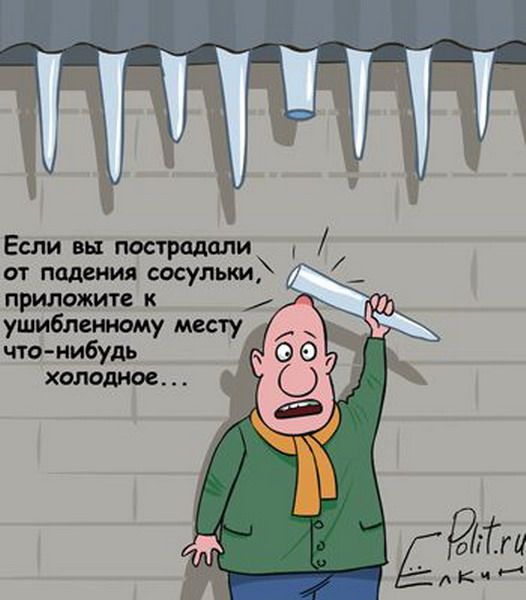 Бесплатные картинки-приколы очень юморные
