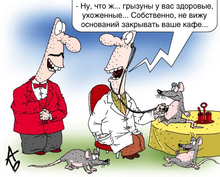 Новые приколы в картинках