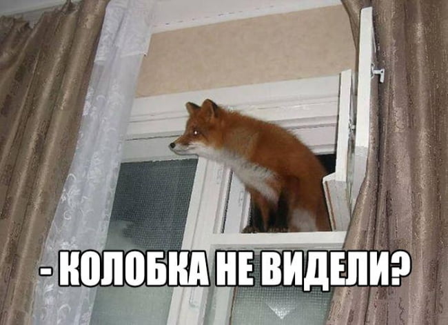 Приколы в картинках с надписями поржать