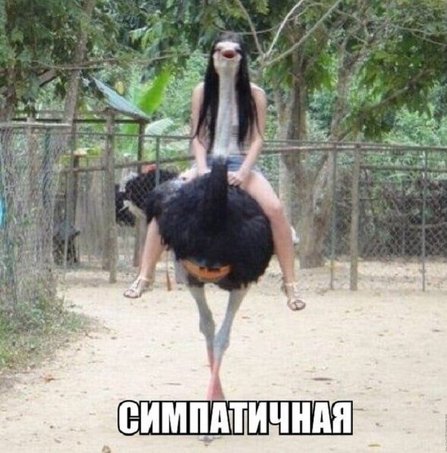 Приколы в картинках с надписями поржать