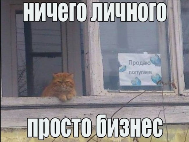 Приколы в картинках с надписями поржать