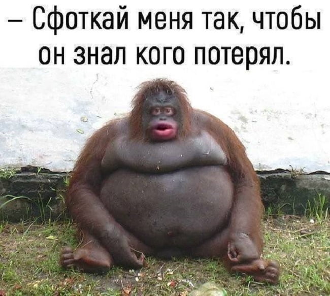 Приколы в картинках с надписями поржать