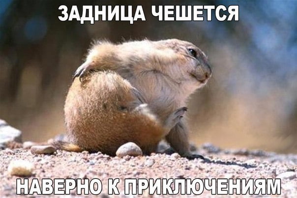 Приколы в картинках с надписями поржать