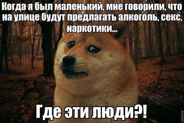 Приколы в картинках с надписями поржать