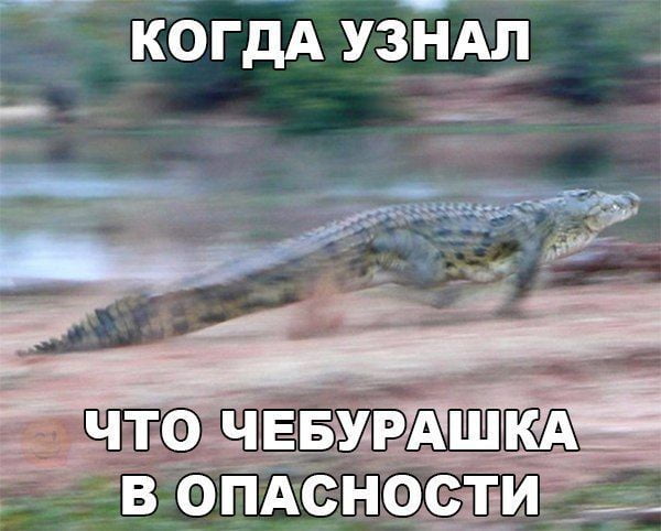 Приколы в картинках с надписями поржать