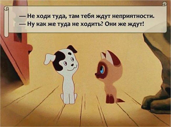 Картинки-приколы до слез самые оригинальные