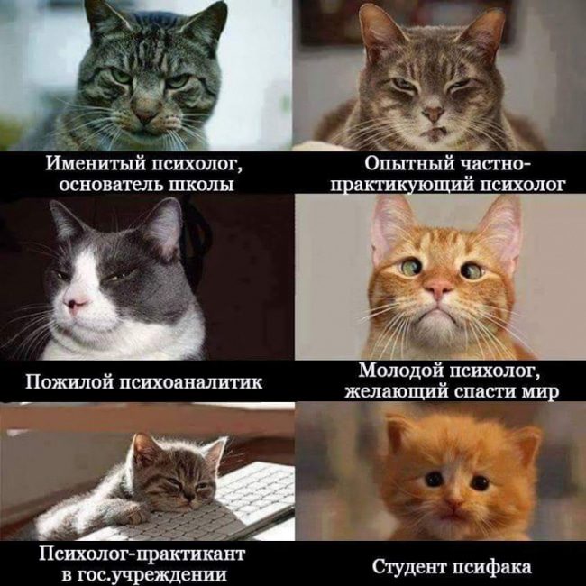 Картинки-приколы до слез самые оригинальные