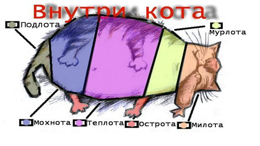 Картинки-приколы до слез самые оригинальные