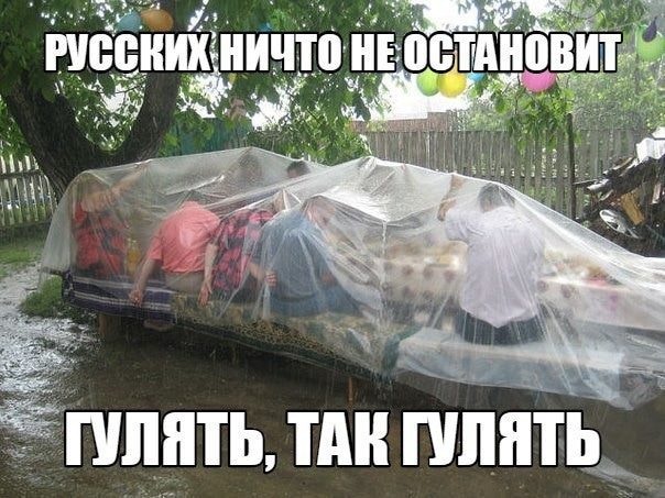 Картинки-приколы до слез самые оригинальные