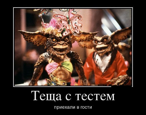 Картинки-приколы до слез самые оригинальные