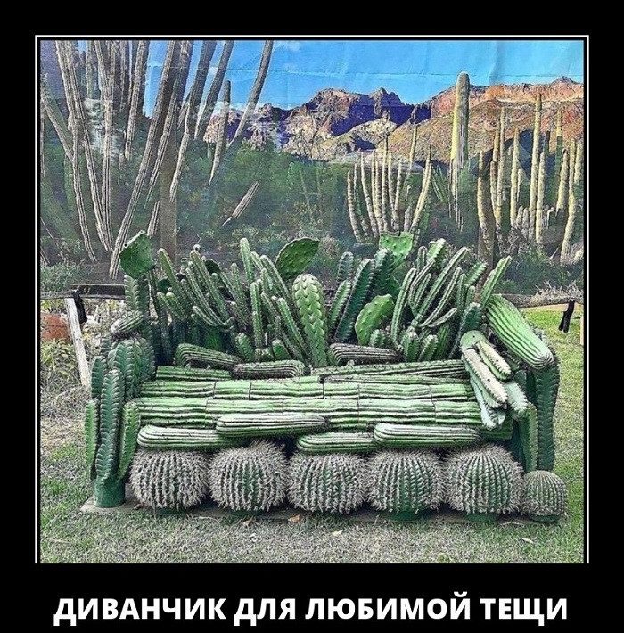 Картинки-приколы до слез самые оригинальные