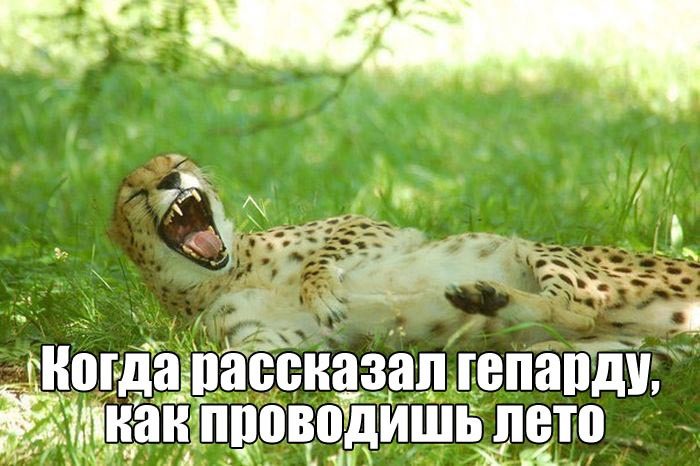 Картинки-приколы с надписями ржачные