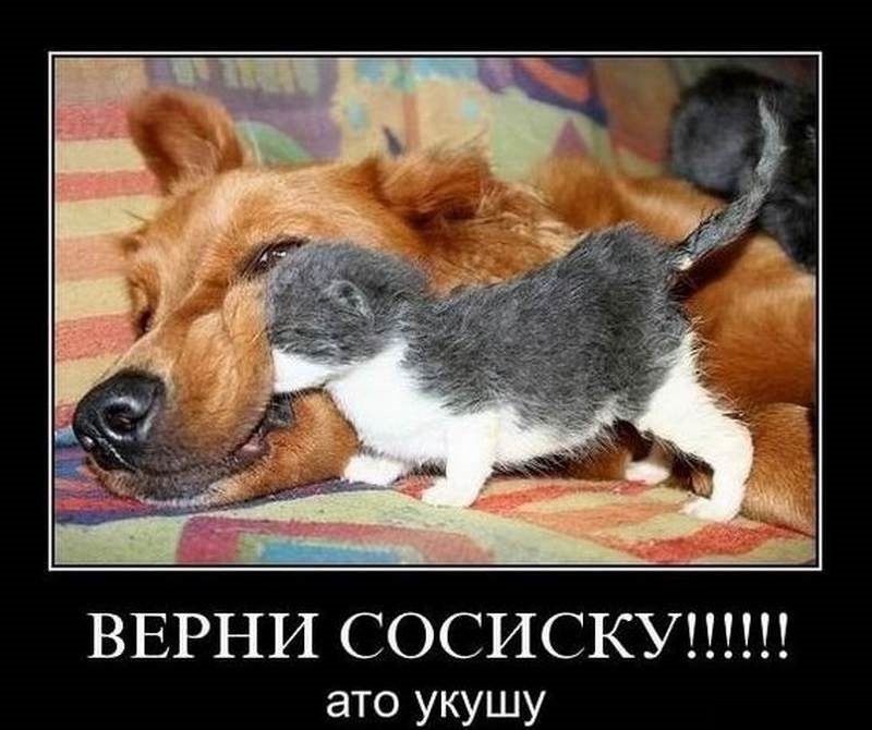 Картинки-приколы с надписями ржачные