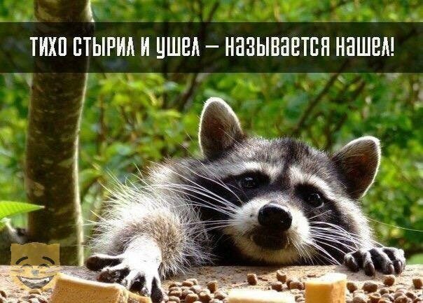 Картинки-приколы с надписями ржачные