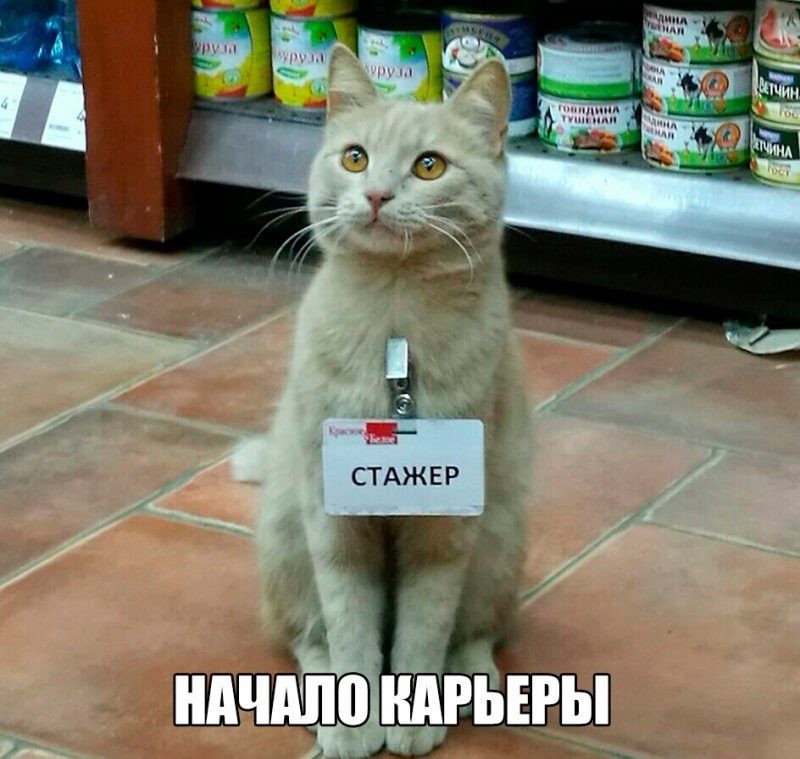 Картинки-приколы с надписями ржачные