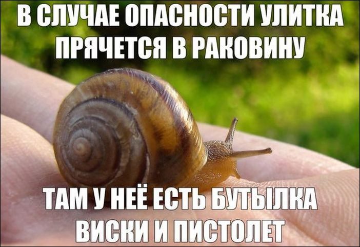 Картинки-приколы с надписями ржачные