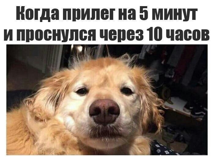 Картинки-приколы с надписями ржачные