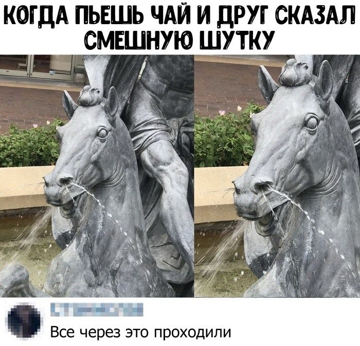 Приколы в картинках с надписями поржать