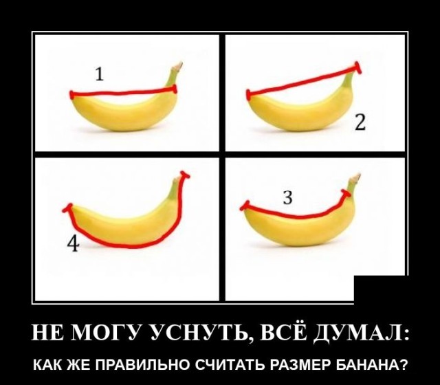 Бесплатные картинки-приколы очень юморные