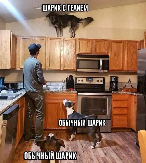 Юмор - картинки-приколы для взрослых