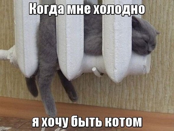 Картинки-приколы смешные до слез