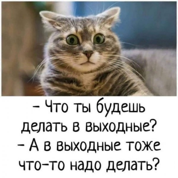 Картинки-приколы веселые
