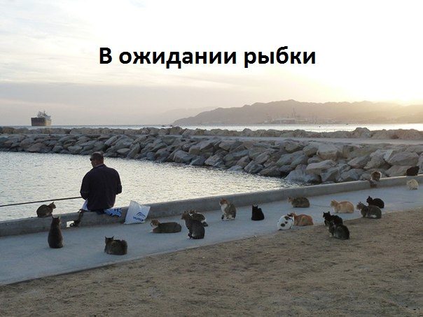 Картинки-приколы с надписями ржачные
