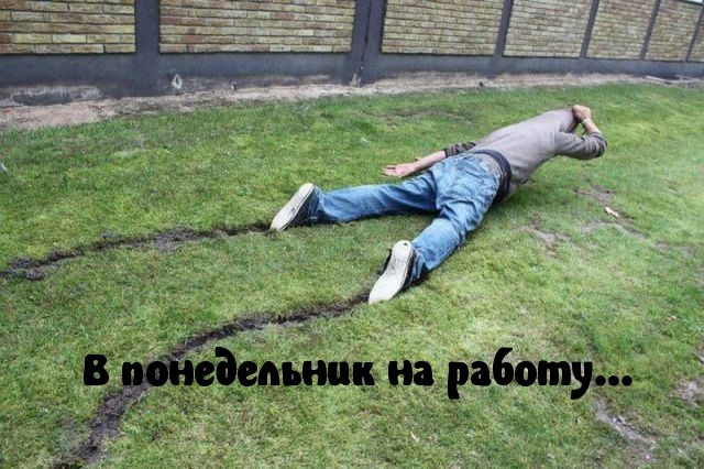 Картинка-прикол для хорошего настроения