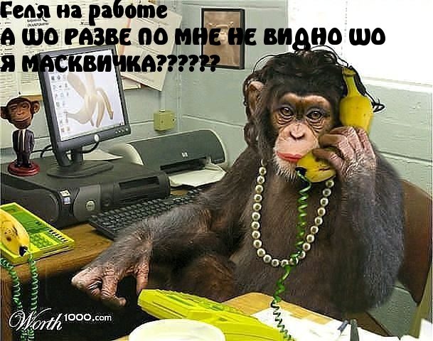 Картинка-прикол для хорошего настроения