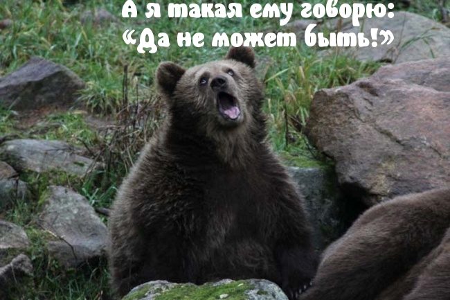 Картинка-прикол для хорошего настроения