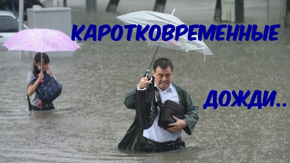 Картинка-прикол для хорошего настроения
