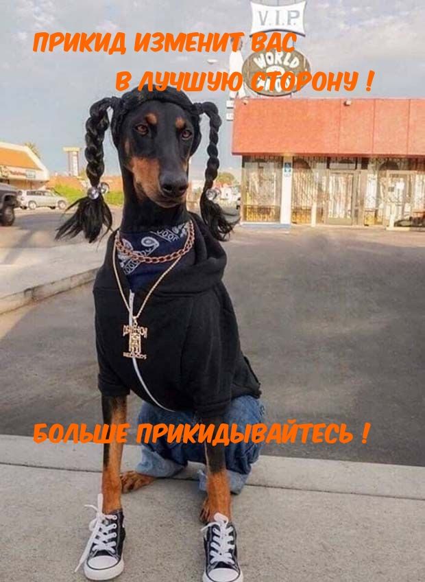 Картинка-прикол для хорошего настроения