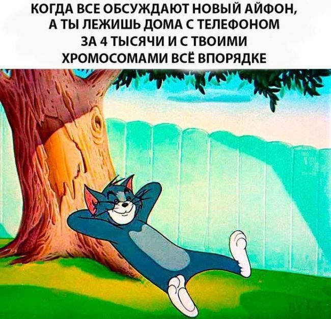 Юмор - картинки-приколы для взрослых