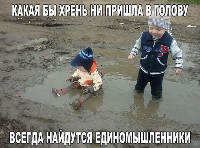 Картинки-приколы смешные до слез