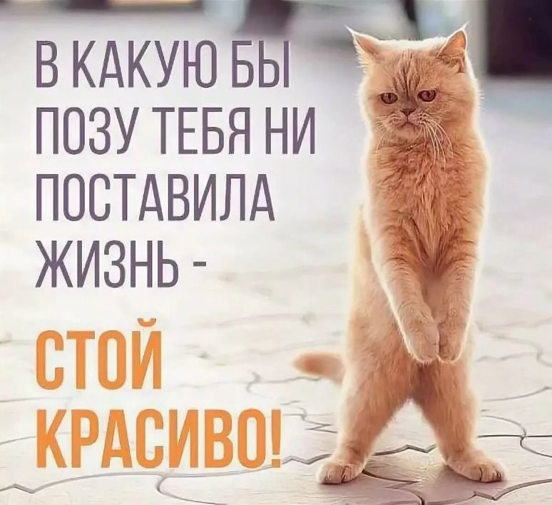 Бесплатные картинки-приколы очень юморные